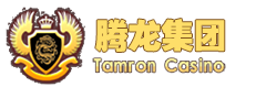 腾龙集团有限公司